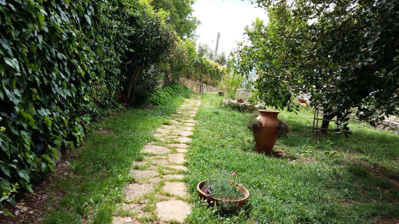 B&B La Vecchia Scuola Sonnino Luaran gambar